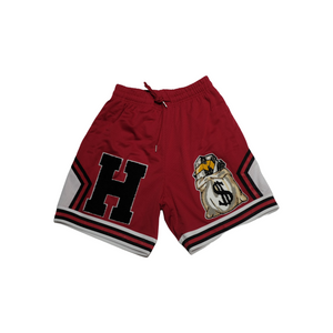 Open image in slideshow, The Hoodinaire &quot;Red Flight&quot; Unisex Shorts
